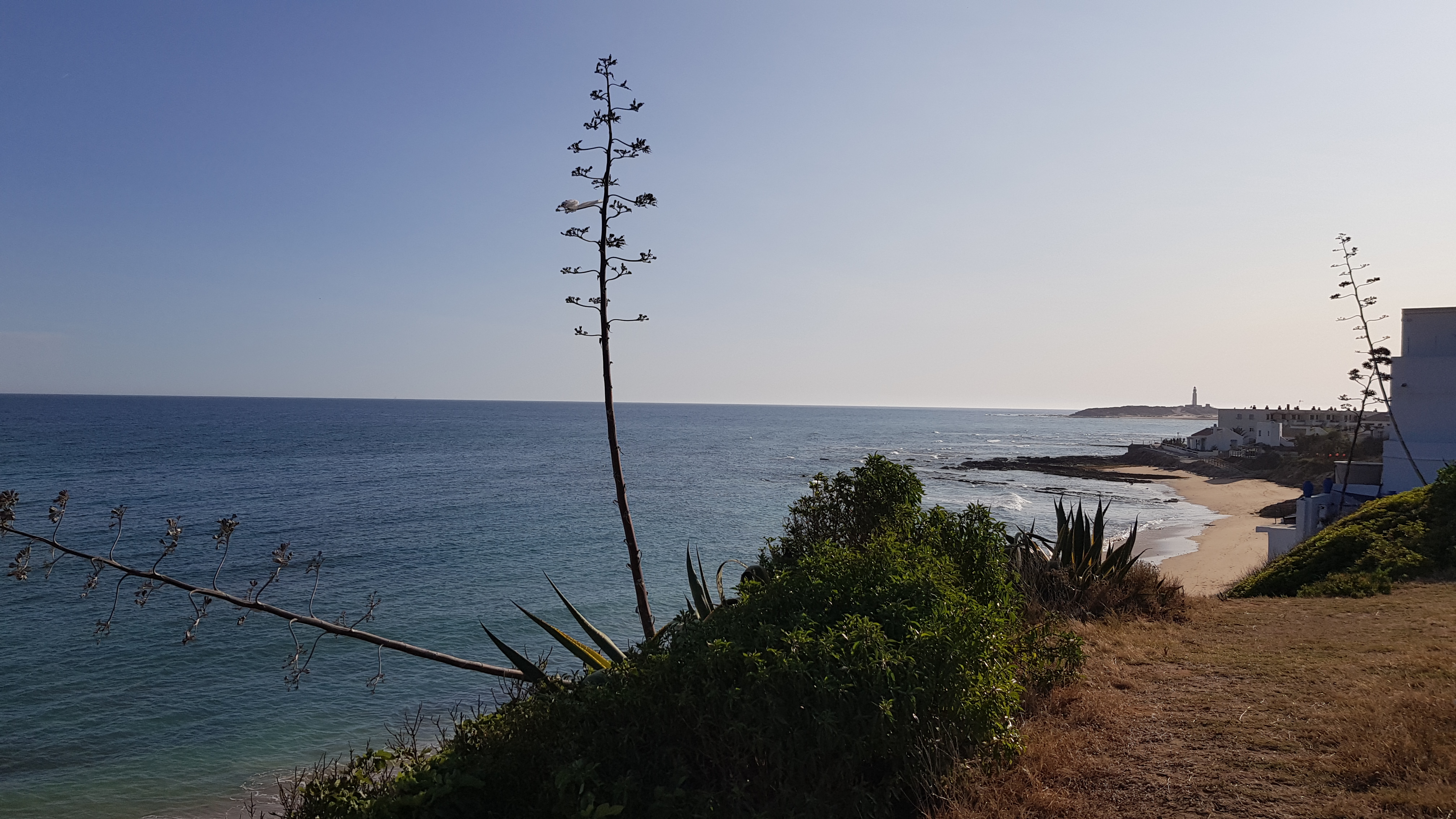 Information about Los Caños de Meca