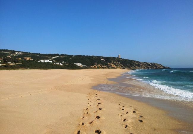 Al Amireh - Playa Faro Camarinal