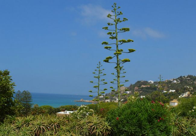 Sobre los Mares - Jardín