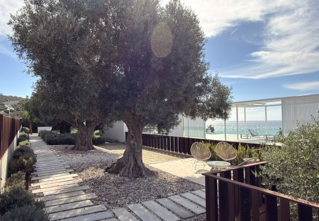 Adamar - IMG_3139Copiar