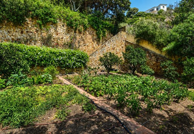 Guatavita - HUERTO