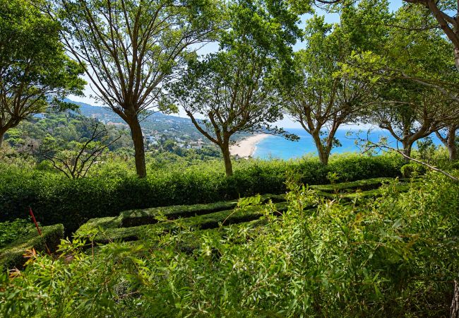 Guatavita - JARDINESCONDIDOYLABERINTO